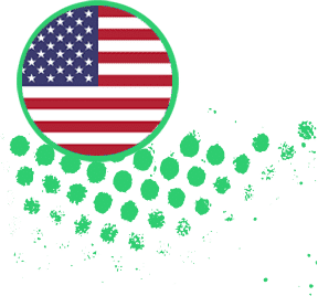 American Boxer