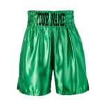 Green Satin Customisable Boxing Shorts
