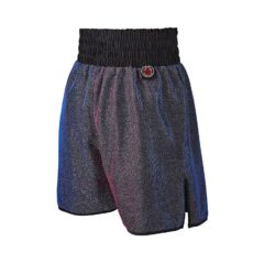 2 Tone Glitter Boxing Shorts Back