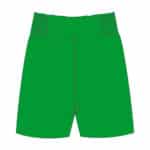 Derry Mathew's ABC Shorts - Back