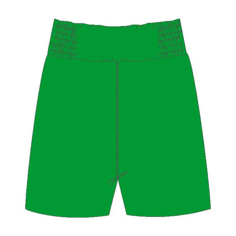 Derry Mathew's ABC Shorts - Back